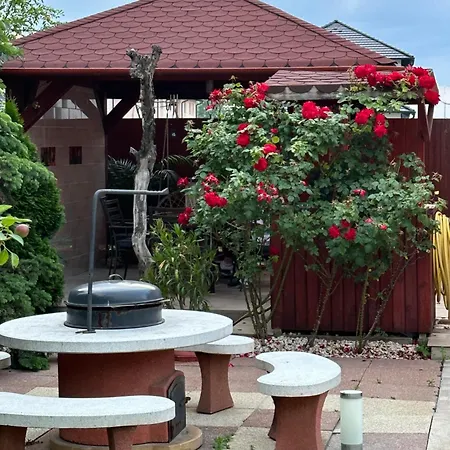 Airport16 Bed And Breakfast-2